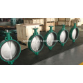 Ductile Iron Concentric Butterfly Valve